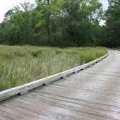 Jamestown Island Drive