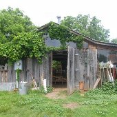 Cain Farm