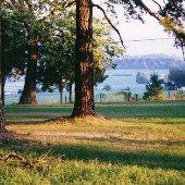 Scenics - Pine Grove Midway Farm
