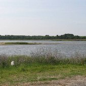 Eastern Shore Bay Scenics