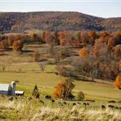 Blue Grass Valley