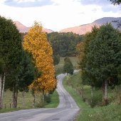 Route 635 & Route 638