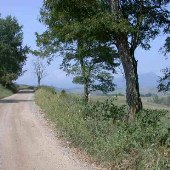 New Providence Road