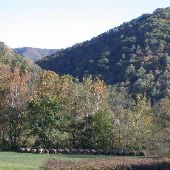 Scenics - Highland County