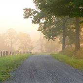 Beliveau Estate