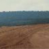 Castle Sands Company