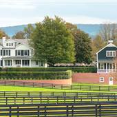 Hickory Tree Farm