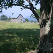 Bucks Elbow Cabin