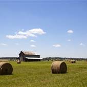 Louisa County Farms