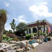 Saguaro Hill-The Cactus House