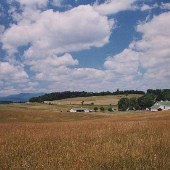 Arborhill Farm & Sugarloaf Mountain