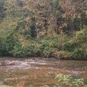 Clinch River