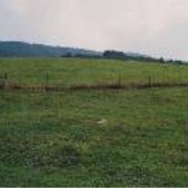 Dewese Farm