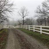 Fancy Farms