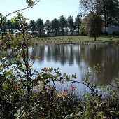 Pond in Ashland