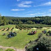 Cana Vineyards and Winery of Middleburg
