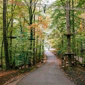 Explore Park - Tree Top Quest