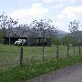 Village of Syria