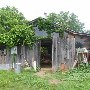 Cain Farm