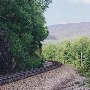 RR Tracks at Mountain Pass - Staunton