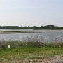 Eastern Shore Bay Scenics