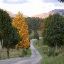 Route 635 & Route 638