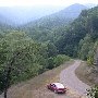 Forest Route 384