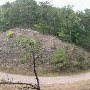 Forest Route 384