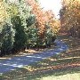 Blenheim Road