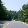 Scenic Roadshots Ivy