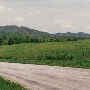 Country Roads - Patrick County