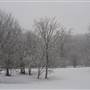Shenandoah River