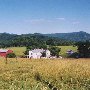 Rt. 631 Farm - Buena Vista