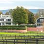 Hickory Tree Farm
