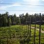 Lickinghole Creek Craft Brewery