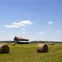 Louisa County Farms