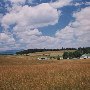 Arborhill Farm & Sugarloaf Mountain