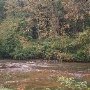 Clinch River