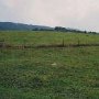 Dewese Farm