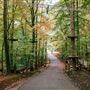Explore Park - Tree Top Quest