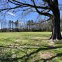 Robinson Park