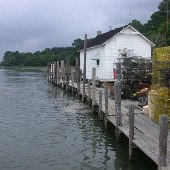 Bayford Docks