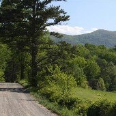 Rt 673 White Hall