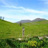 Thompson Valley