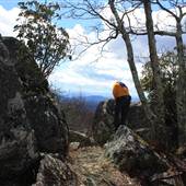 Apple Orchard Mountain