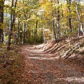 Browns Gap Fire Road