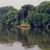 Ancarrow's Boat Landing