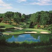 Golden Horseshoe Golf Club