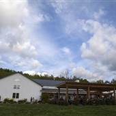 Blue Mountain Brewery and Hop Farm
