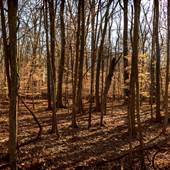 Algonkian Regional Park